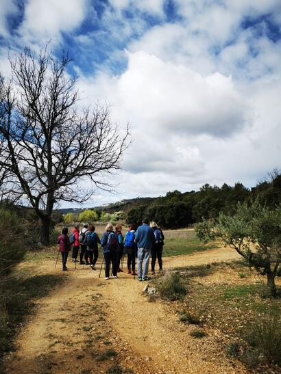 Première sortie pour les séniors dans le cadre des ateliers Bien Vieillir Première sortie pour les séniors dans le cadre des ateliers Bien Vieillir