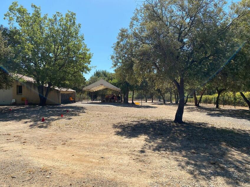 © Odel Var © Odel Var