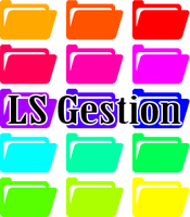 LS Gestion
