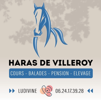 Haras de Villeroy
