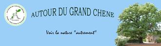 Autour du Grand Chêne